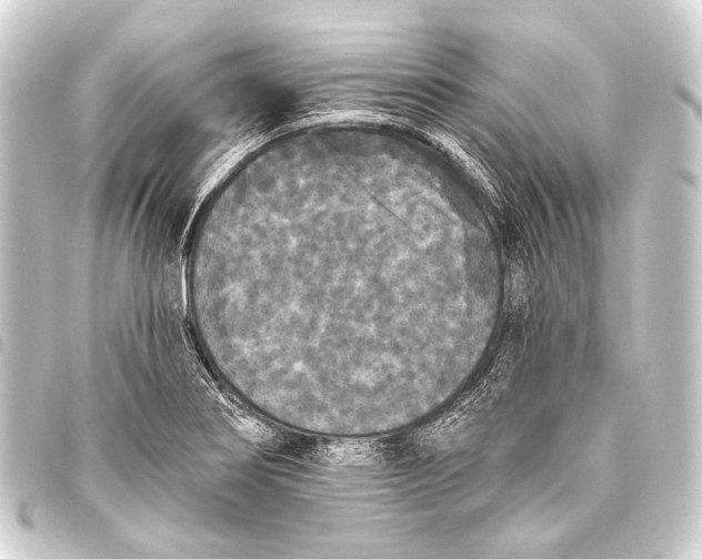 X0000093451274200711021107