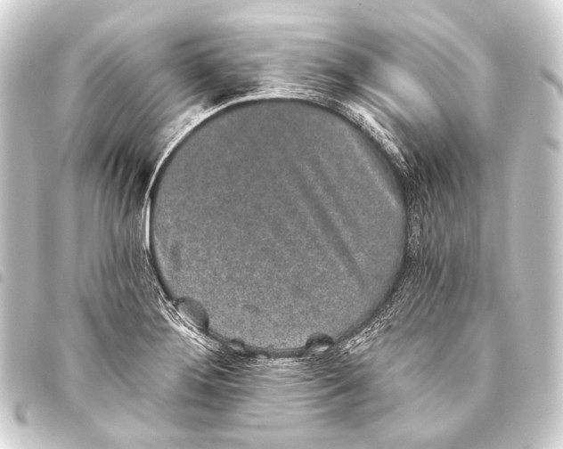 X0000093451276200711021107