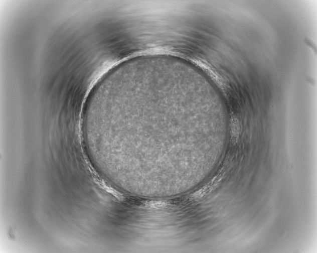 X0000093451278200711021107