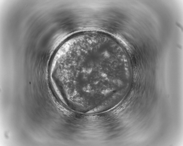 X0000093451279200711021107