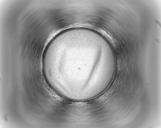 X0000093451280200711021107