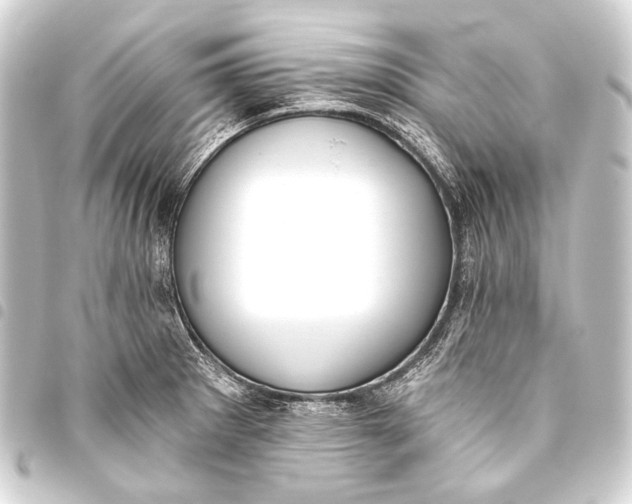 X0000093451281200711021107