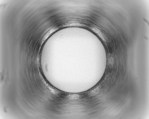 X0000093451282200711021107