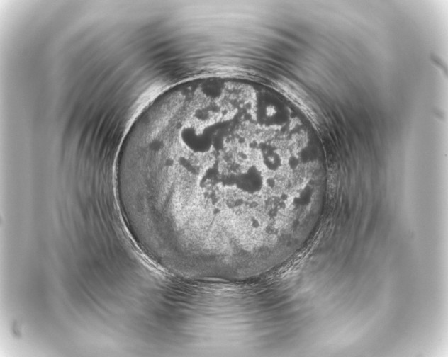 X0000093451283200711021107