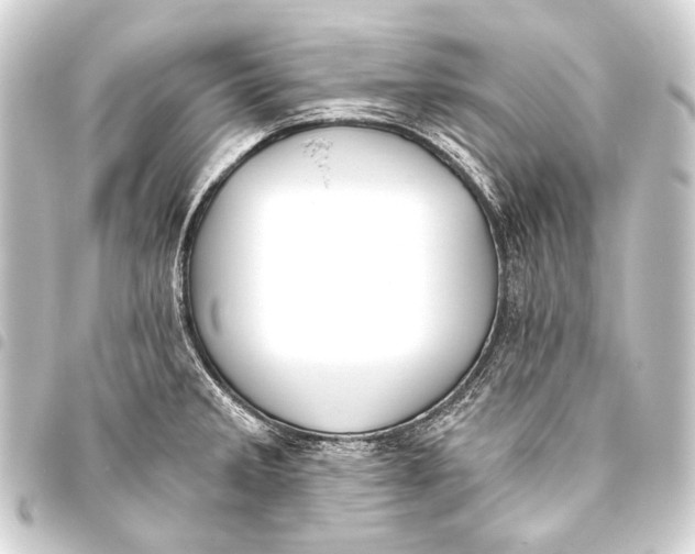 X0000093451285200711021107