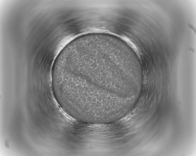 X0000093451287200711021107