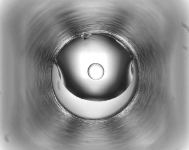 X0000093451289200711021106