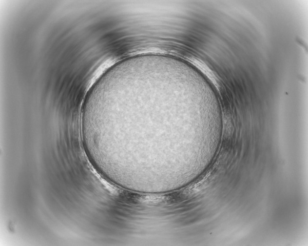 X0000093451290200711021106