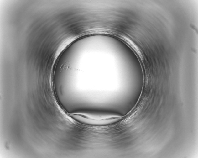 X0000093451293200711021106