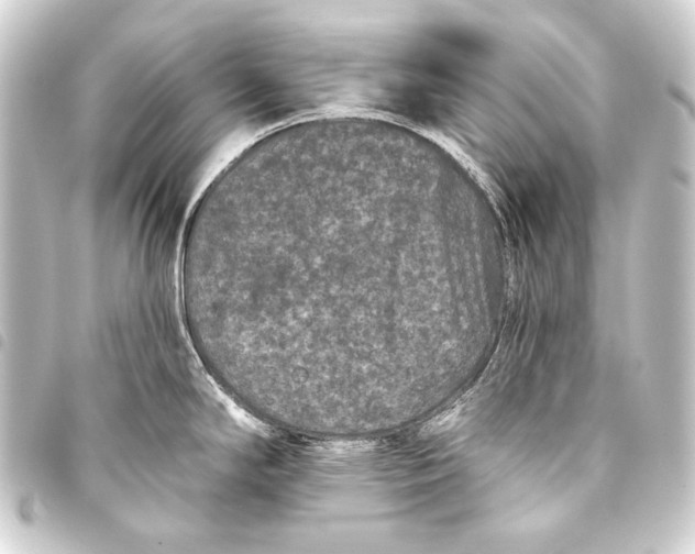 X0000093451294200711021106