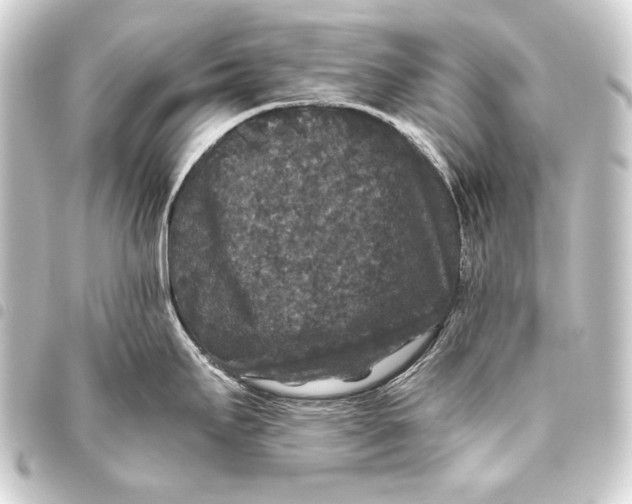 X0000093451295200711021106