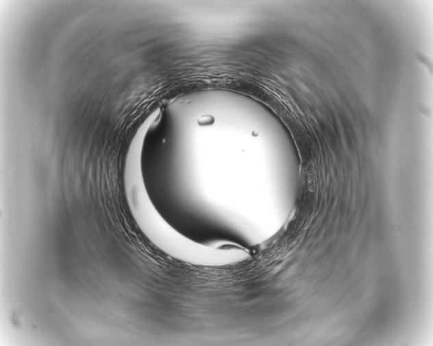 X0000093451298200711021105