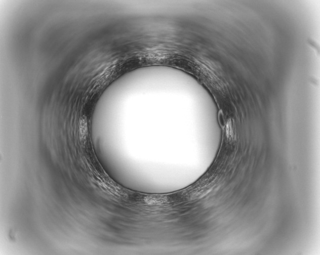 X0000093451299200711021106