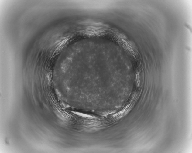 X0000093451300200711021106