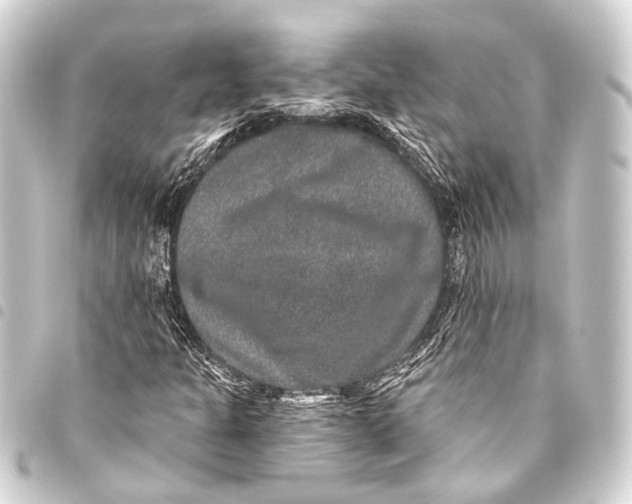 X0000093451301200711021106