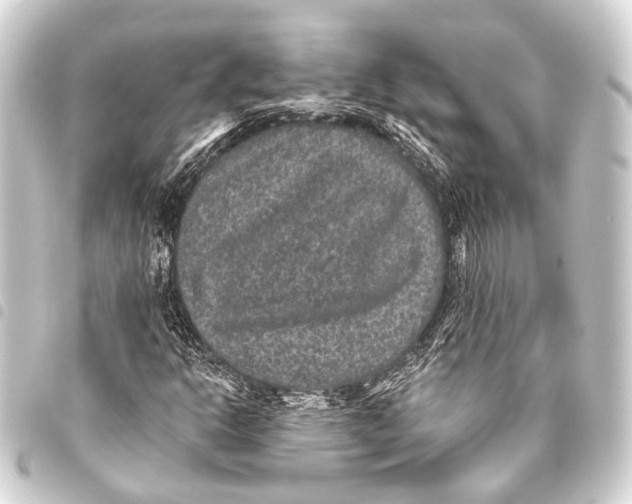 X0000093451302200711021106