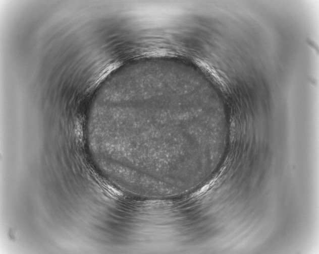 X0000093451305200711021106