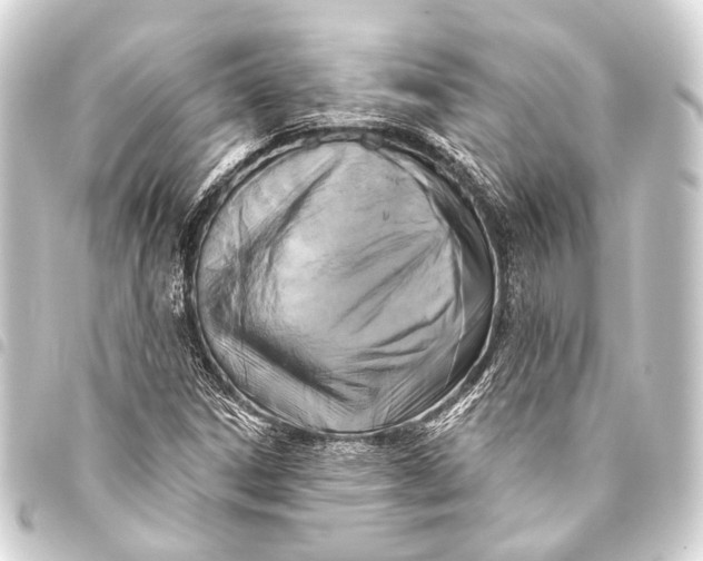 X0000093451306200711021106