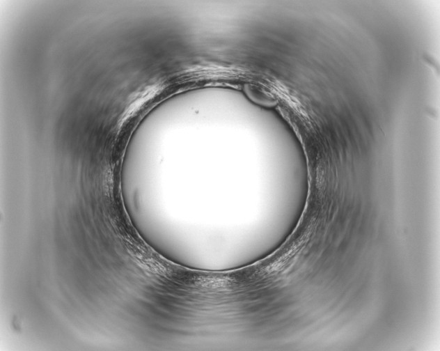 X0000093451309200711021106