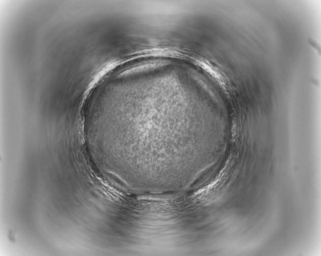 X0000093451310200711021106