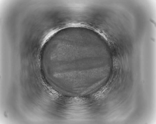 X0000093451311200711021106