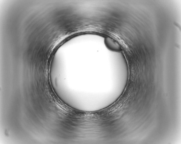 X0000093451316200711021106