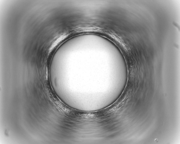 X0000093451317200711021106