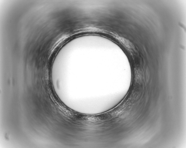 X0000093451318200711021106