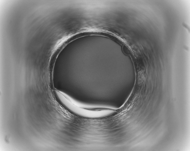 X0000093451319200711021106