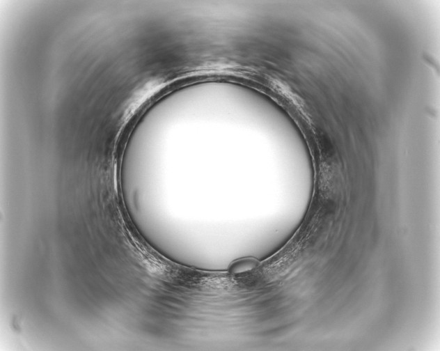 X0000093451320200711021106