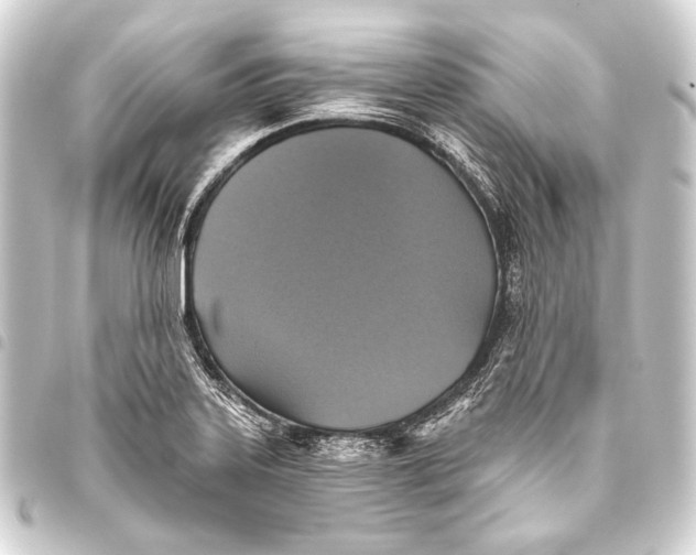 X0000093451323200711021106