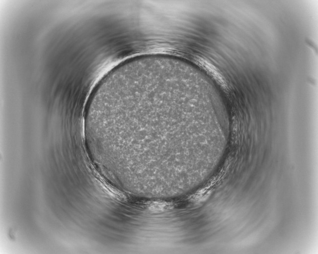 X0000093451324200711021106