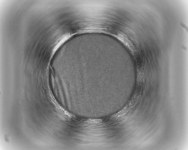 X0000093451325200711021106