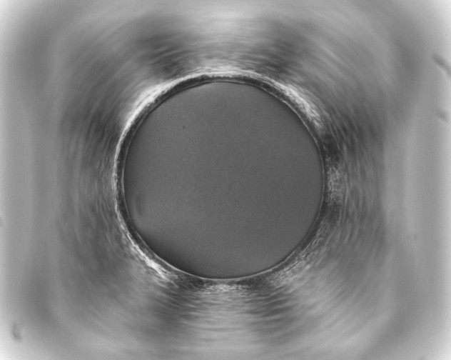 X0000093451327200711021106