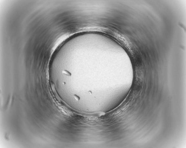 X0000093451328200711021106