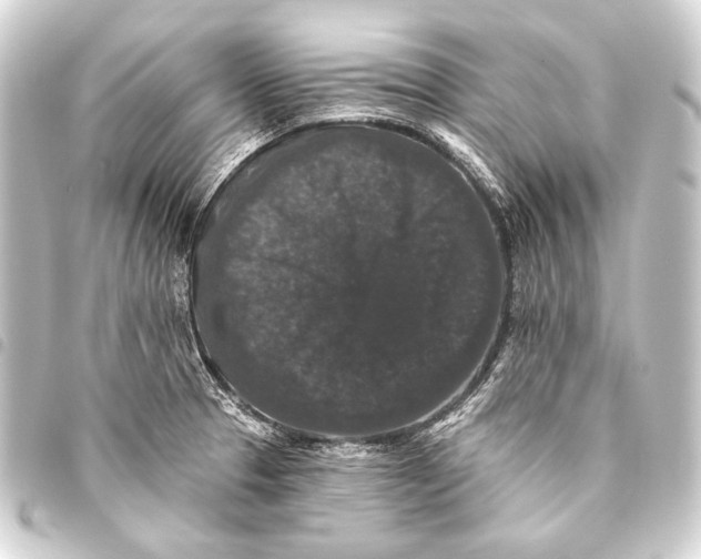 X0000093451329200711021106