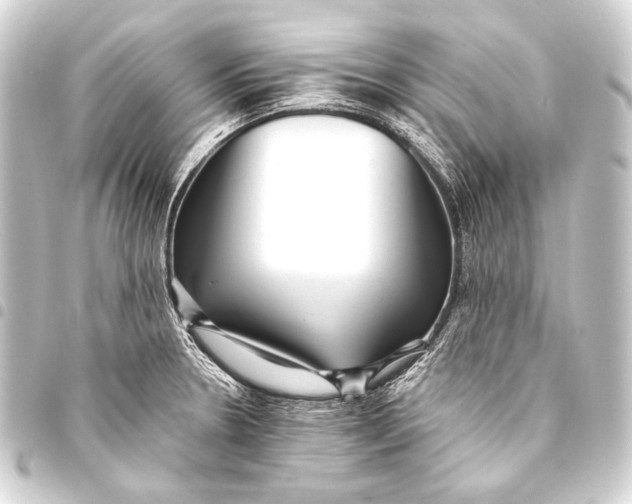 X0000093451330200711021106