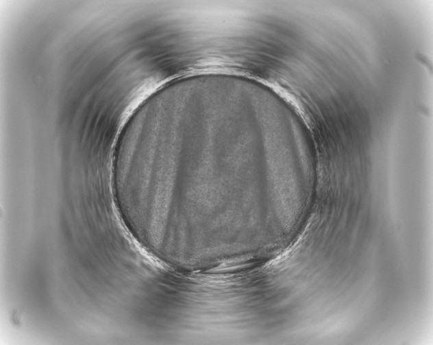 X0000093451333200711021106