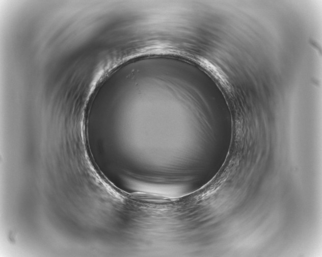 X0000093451334200711021106