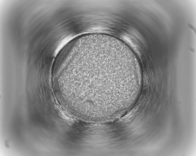 X0000093451336200711021106