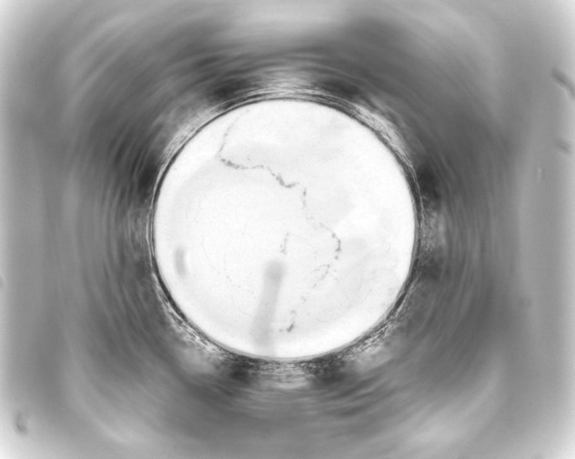 X0000093451338200711021106