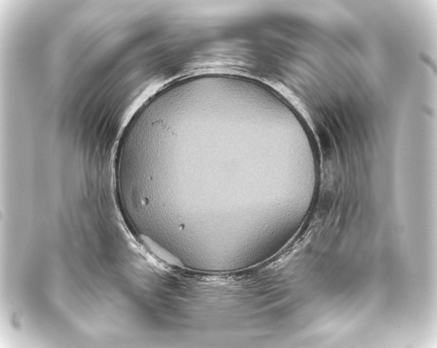 X0000093451341200711021106