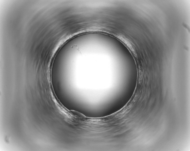 X0000093451342200711021106