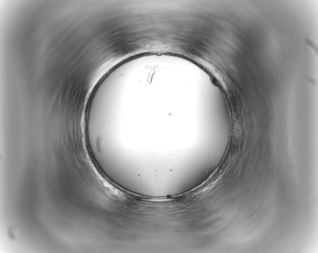 X0000093451343200711021106