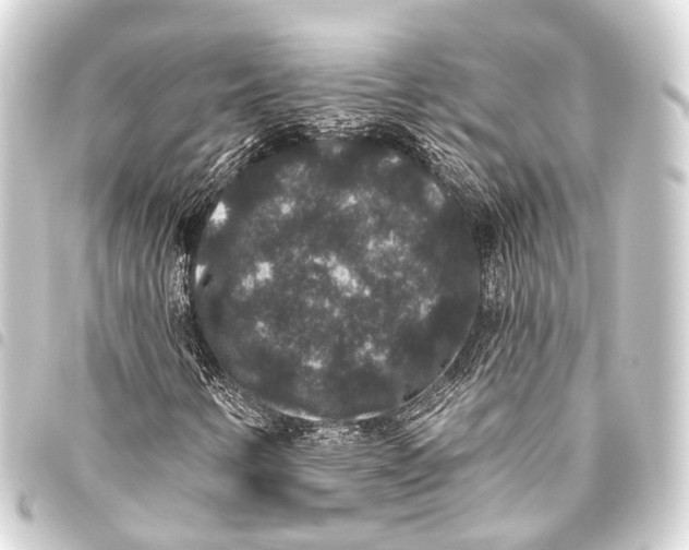 X0000093451346200711021105