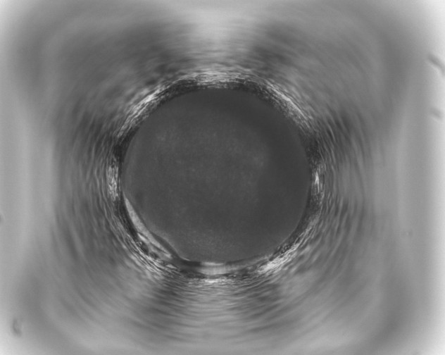 X0000093451348200711021105