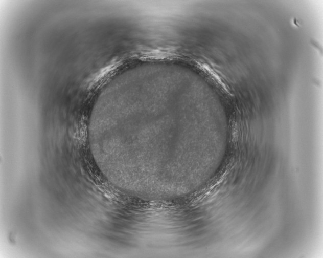 X0000093451350200711021105