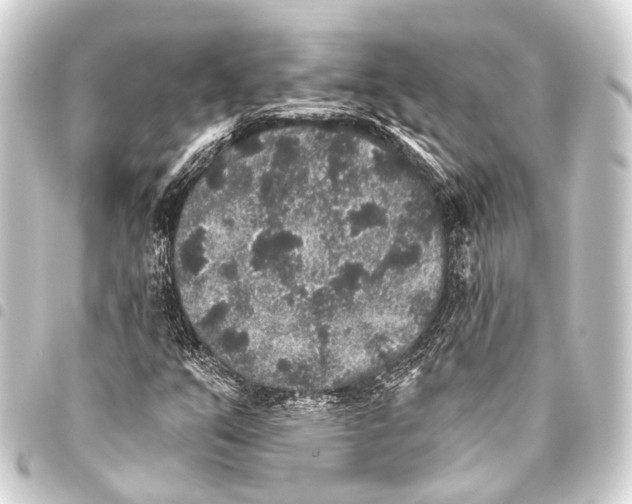 X0000093451351200711021105