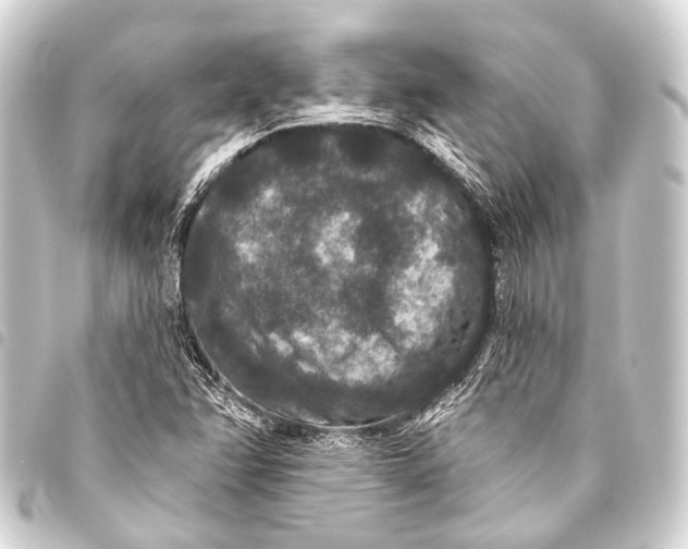 X0000093451358200711021105