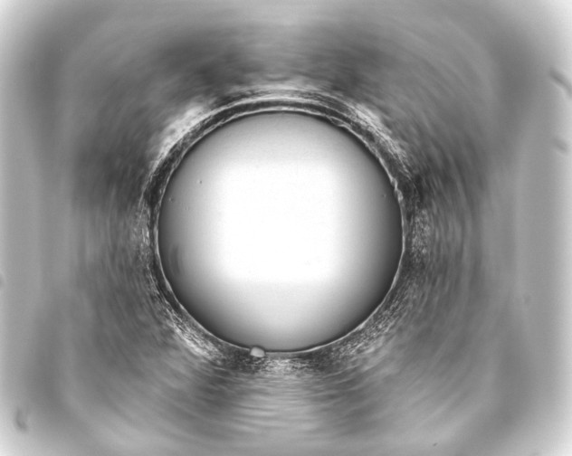 X0000093451360200711021105